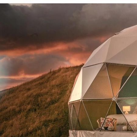 Вілла Caravans Park & Glamping Tents In The Vineyard Турда Екстер'єр фото