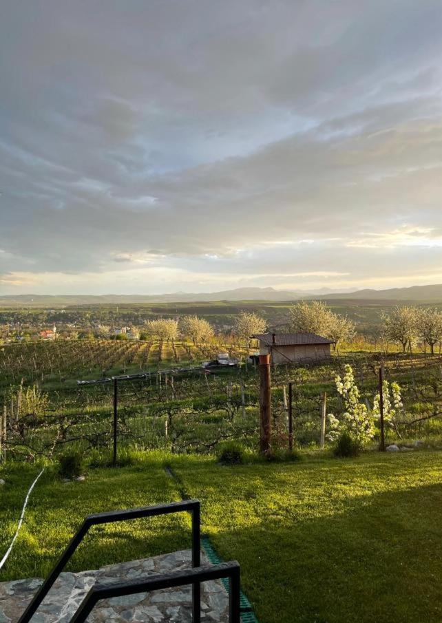 Вілла Caravans Park & Glamping Tents In The Vineyard Турда Екстер'єр фото