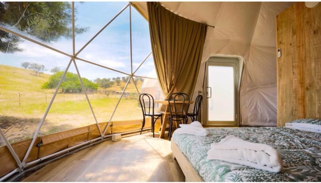 Вілла Caravans Park & Glamping Tents In The Vineyard Турда Екстер'єр фото